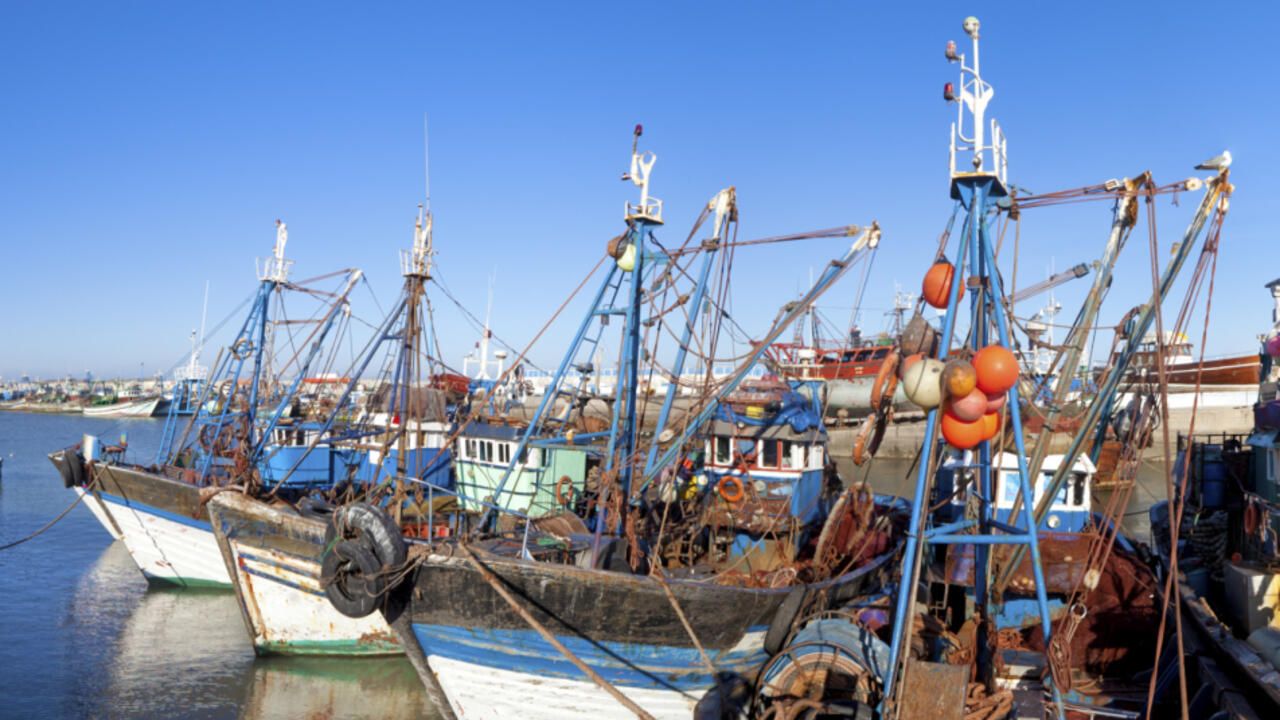 L'accord sur la pêche UE-Maroc en eaux troubles