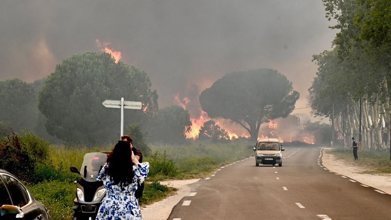 Pyrénées-Orientales : ce que l'on sait de l'incendie qui menace les communes d'Argelès-sur-Mer, Saint-André et Sorède