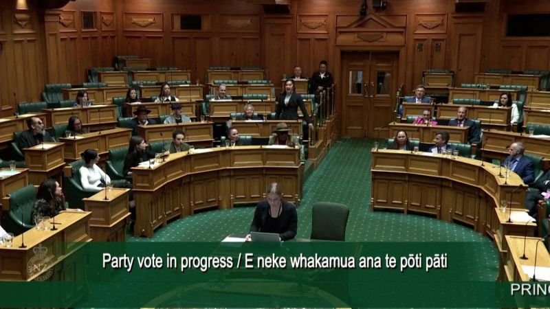 New Zealand MPs disrupt parliament with haka to protest Indigenous treaty bill