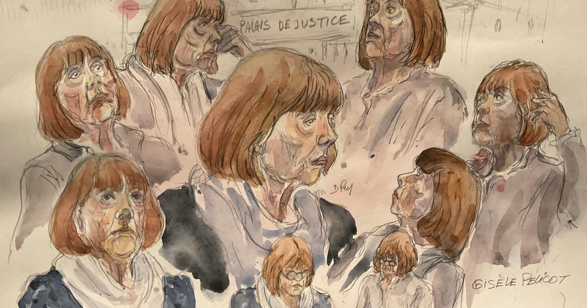 Au procès des viols de Mazan, les avocats de la défense accablent "l’ogre" Dominique Pelicot, "dévoré par ses pulsions"