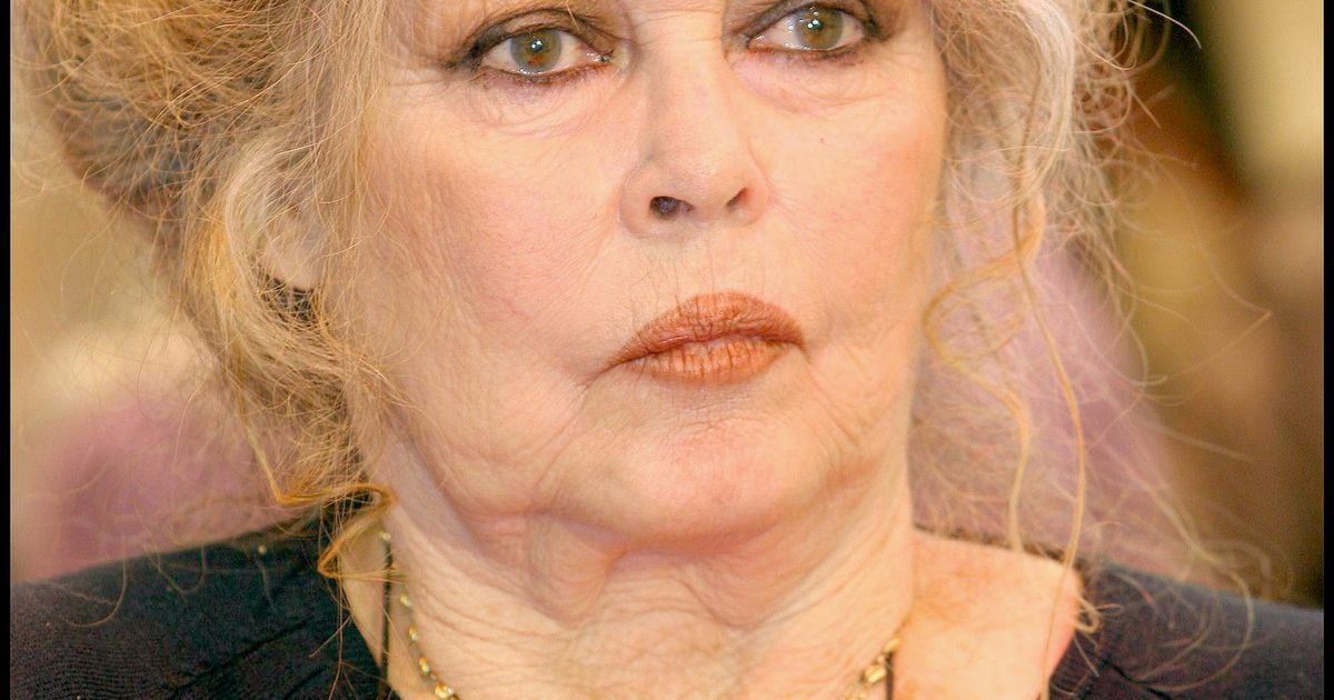 "Ça ne pouvait pas tomber plus mal" : Brigitte Bardot isolée par une panne à Saint-Tropez, rien ne va plus pour ses animaux