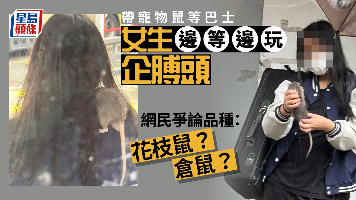 少女帶寵物鼠等巴士 網民側目唔聚財：無眼睇｜Juicy叮