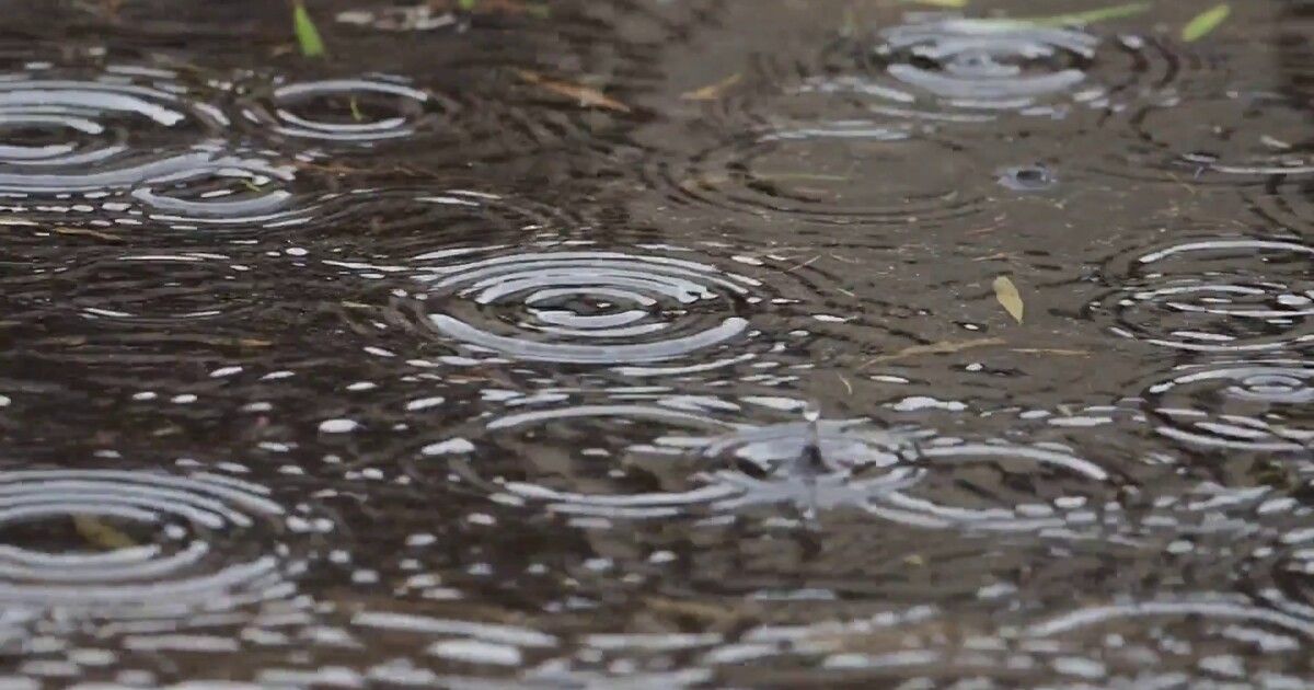 Rain chances today but it's not a washout