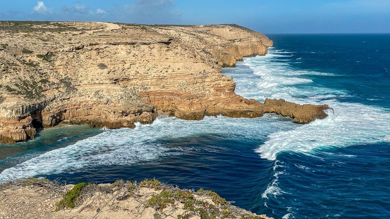 Teacher feared dead after shark attack off South Australia