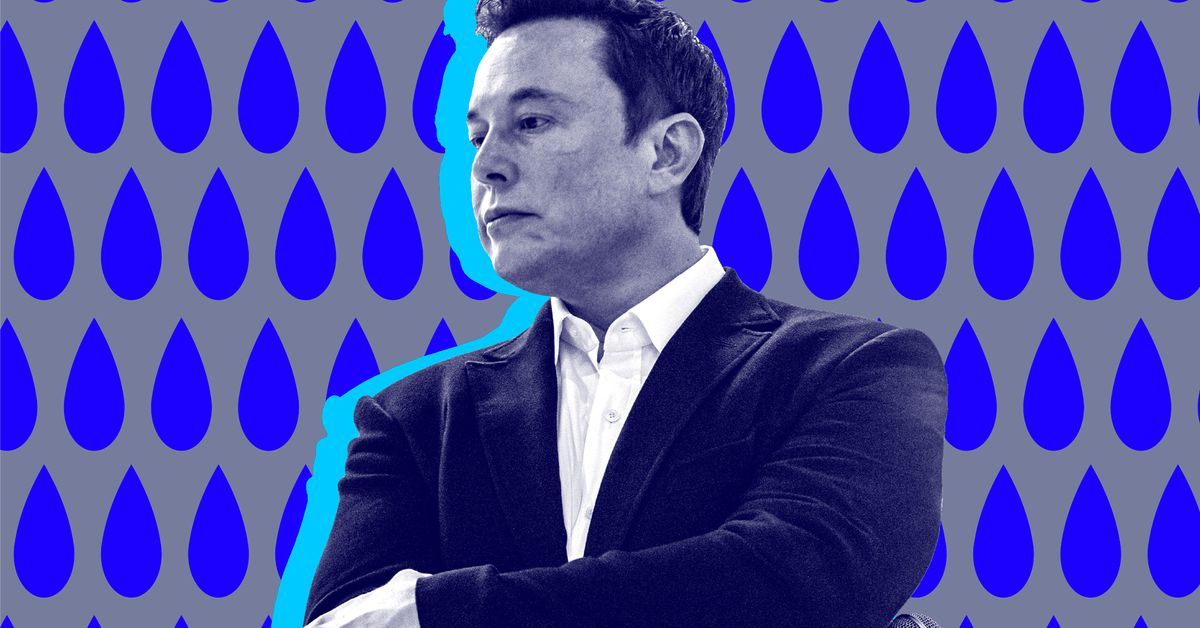 Elon Musk is stuck with his ‘Twitter sitter’ after court rejects bid to toss SEC settlement