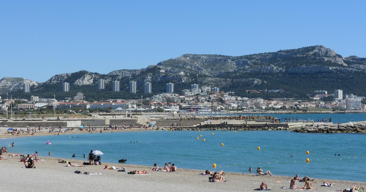 Marseille : la baignade interdite sur l'ensemble des plages du littoral "jusqu'à nouvel ordre"