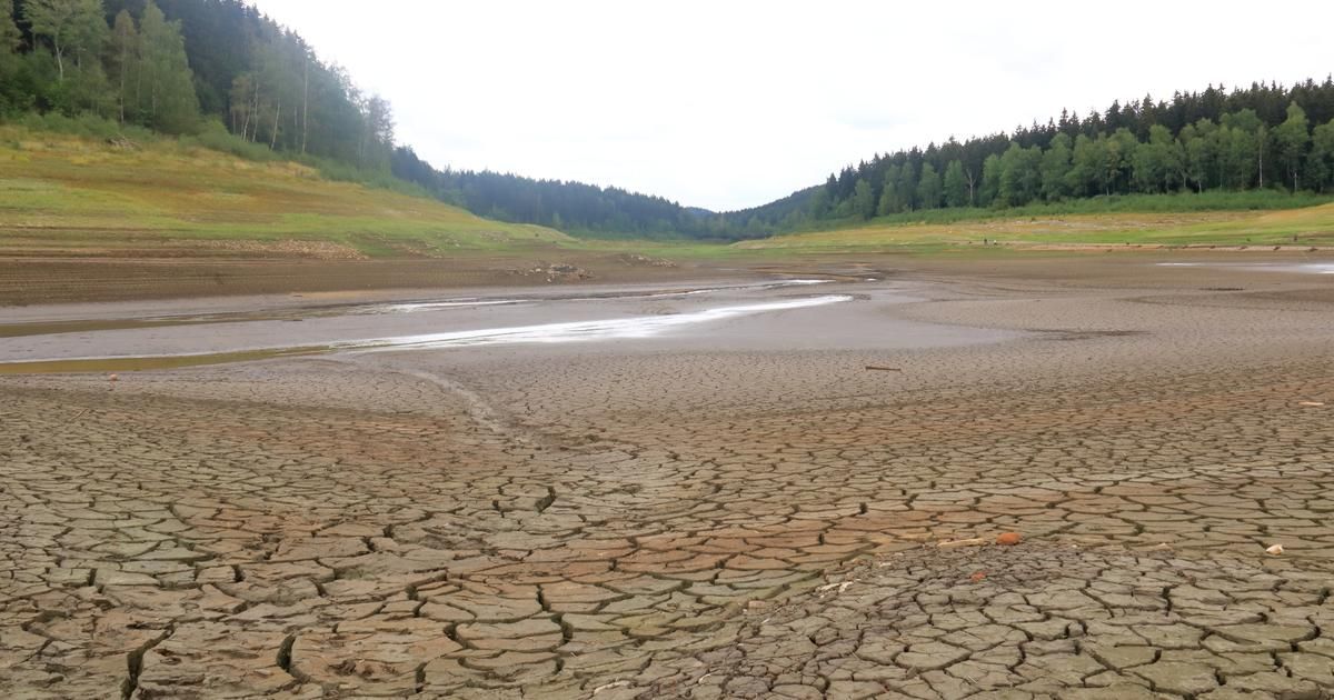 Climat : les températures moyennes du début du mois de juin ont atteint un record mondial