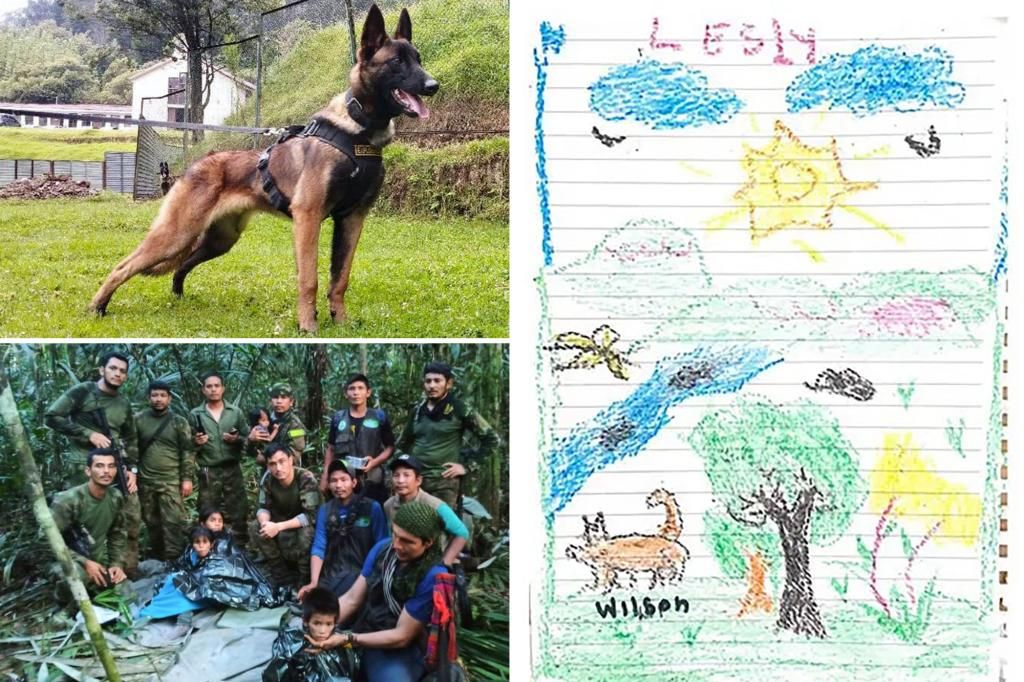 Children rescued from Colombian jungle pay tribute to missing dog