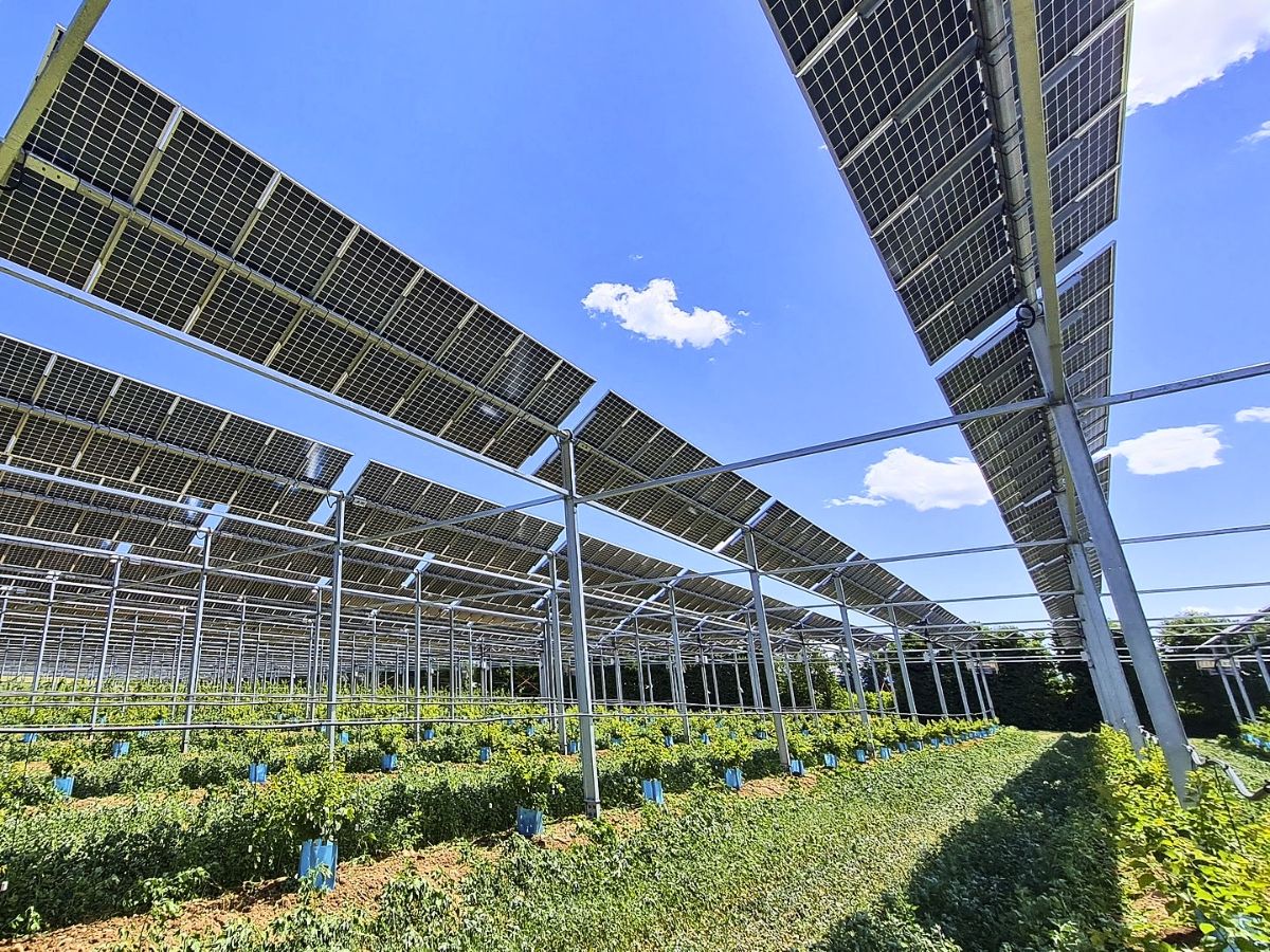 Ce gros partenariat pourrait faire décoller l'agrivoltaïsme en France