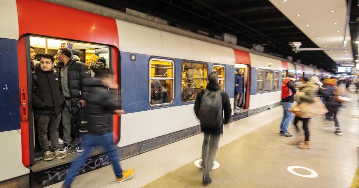 Mort d'une femme poussée sur les rails du RER : le suspect conduit à l'infirmerie psychiatrique