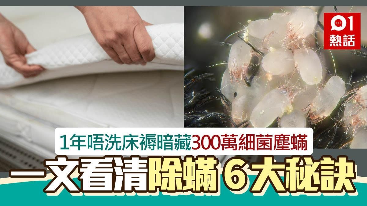 床褥1年唔洗暗藏300萬細菌塵蟎 裝修佬教清潔6大方法｜生活百科