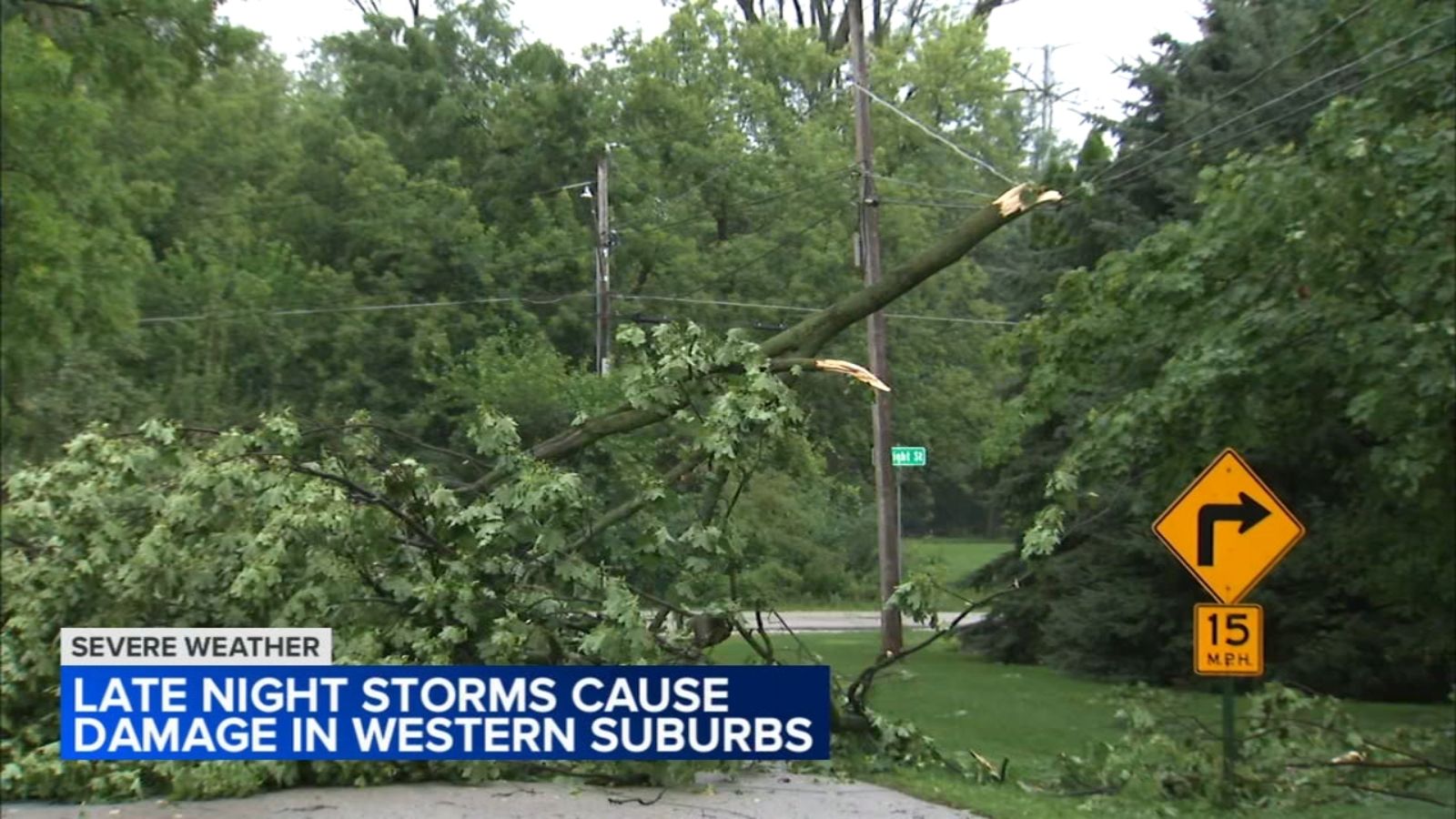 Chicago weather: Storm damage reported after severe weather overnight