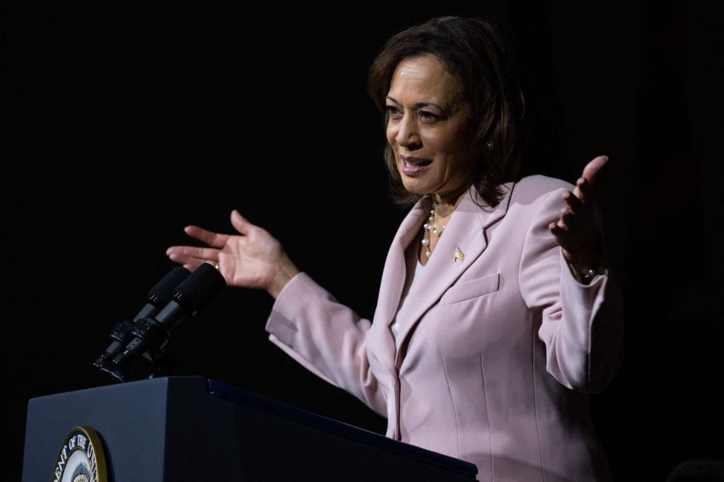 Kamala Harris says US must ‘reduce population’ to fight climate change in latest gaffe