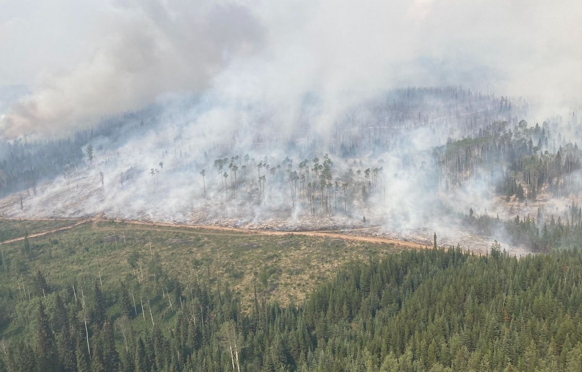 La barre des 10 millions d'hectares brûlés franchie