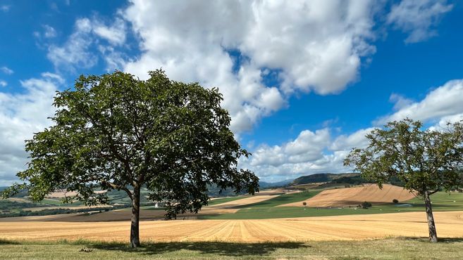 La société qui prévoyait l'installation de quatre éoliennes sur le plateau de Pardines se retire : les opposants soufflent