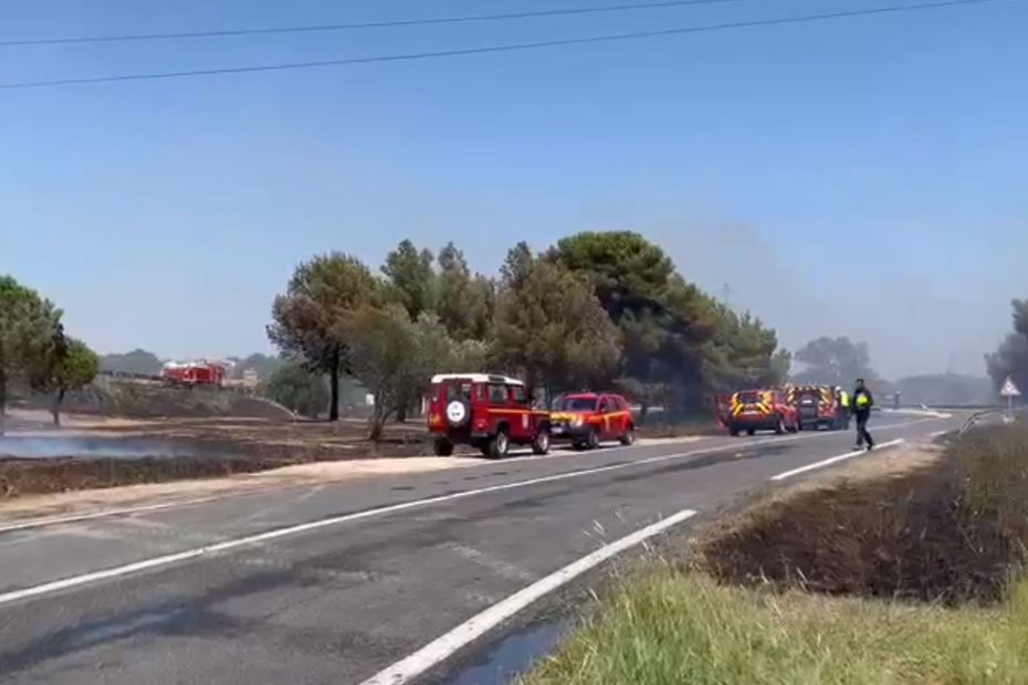 VIDEO. Incendie à Perpignan : un hôtel et une zone d'activité menacés par les flammes, 100 pompiers et 3 hélicoptères sur place