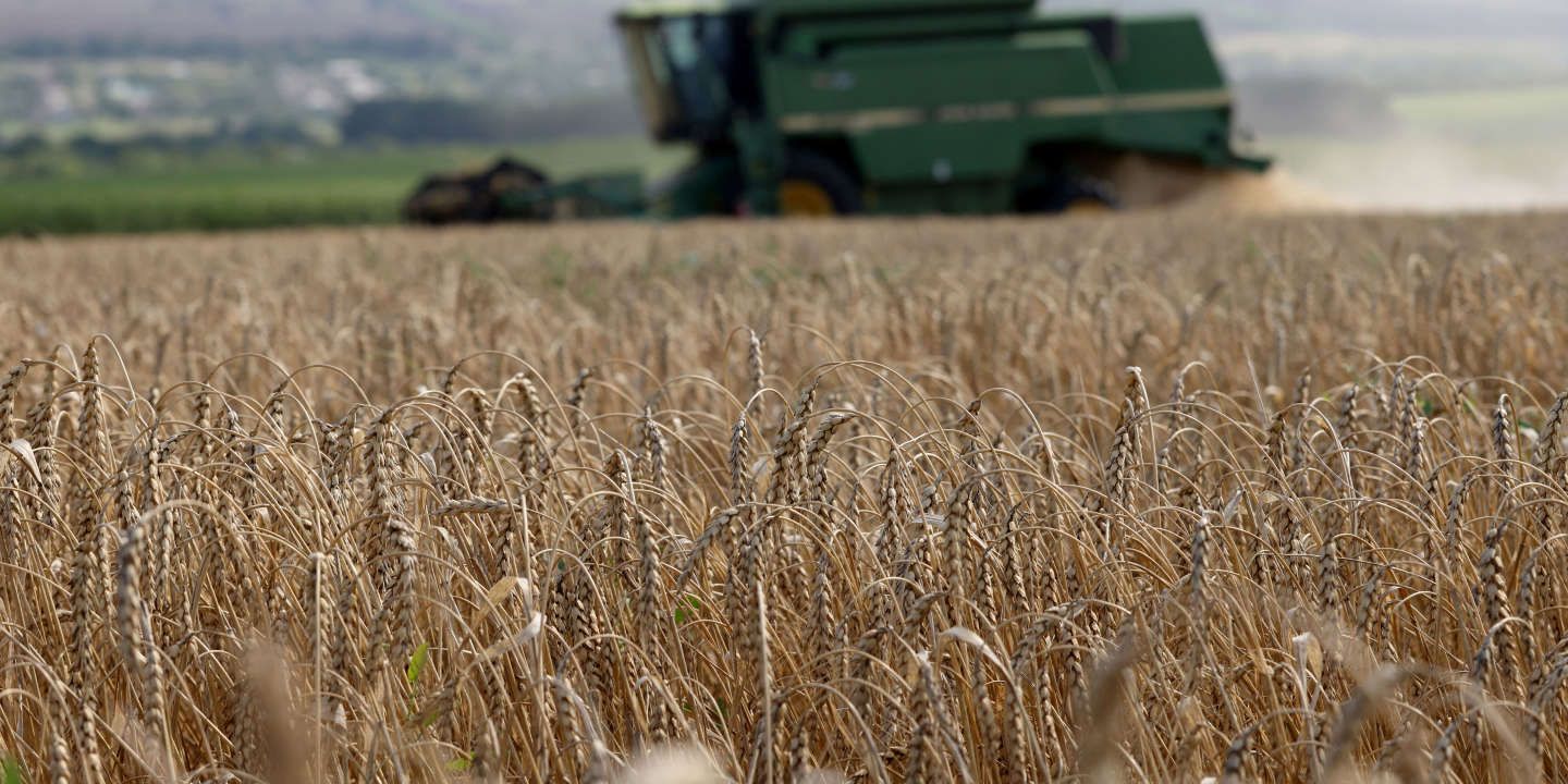 Guerre en Ukraine, en direct : l’UE met fin aux restrictions d’importation sur les céréales ukrainiennes, la Hongrie et la Pologne ignorent la mesure