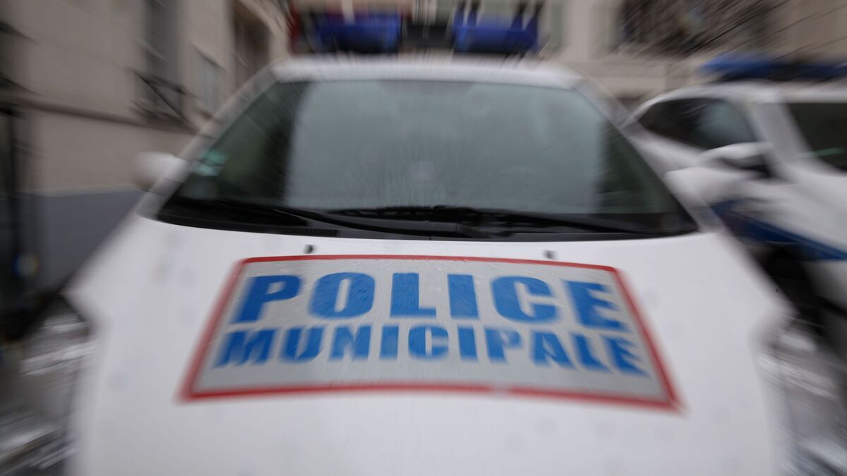 La course-poursuite entre Paris et Saint-Denis se termine par un tir au visage