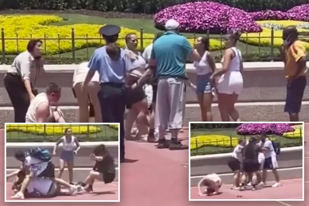 Brawl breaks out at Disney world after family refuses to move for a photo op