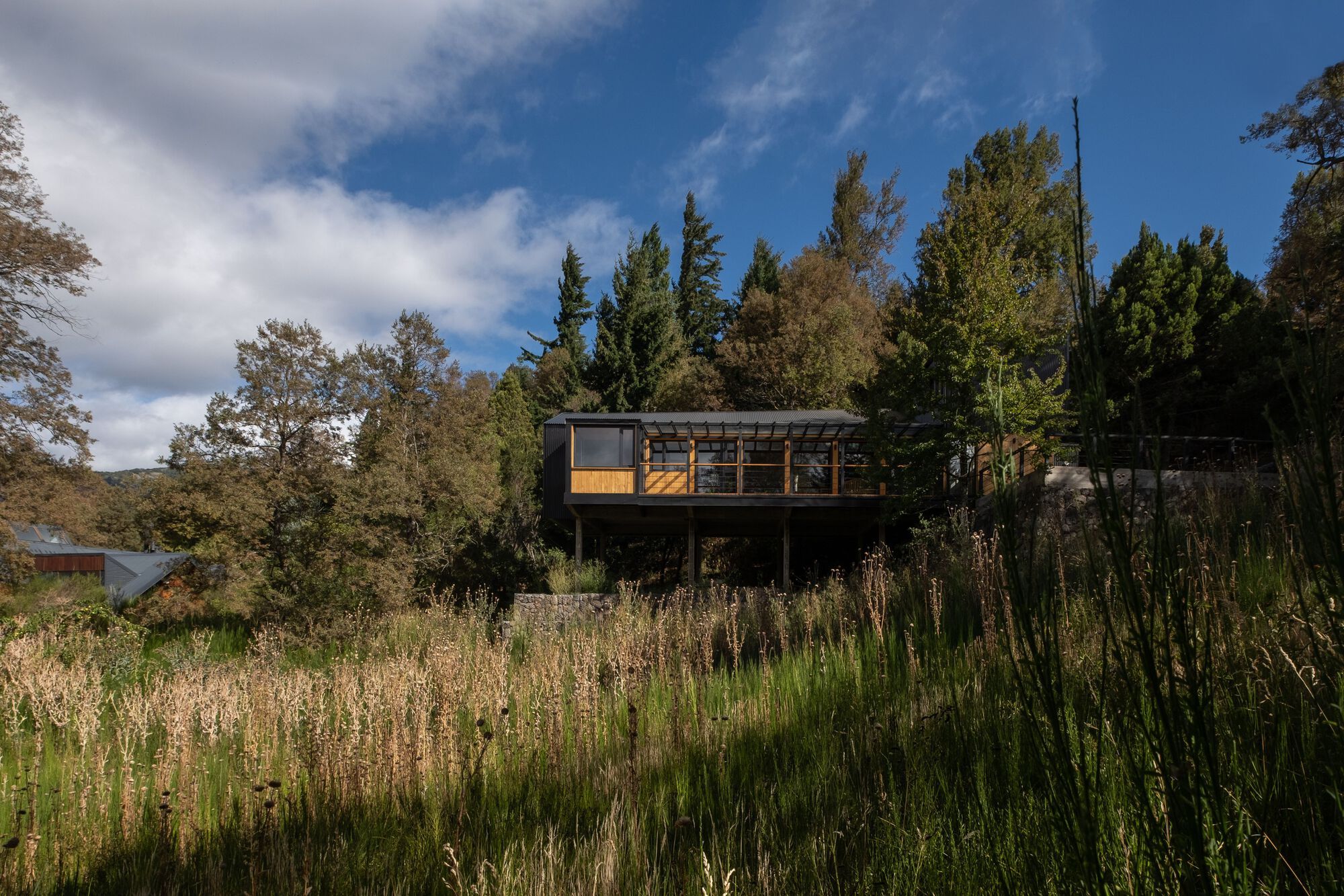 Sosa House / 40Sur Arquitectura