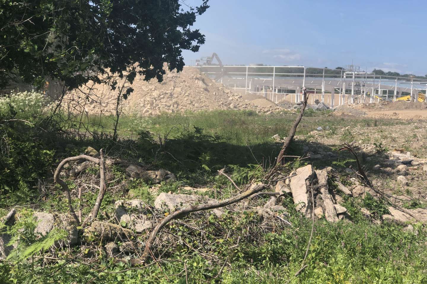 Destruction des menhirs à Carnac : une enquête ouverte par le parquet de Lorient