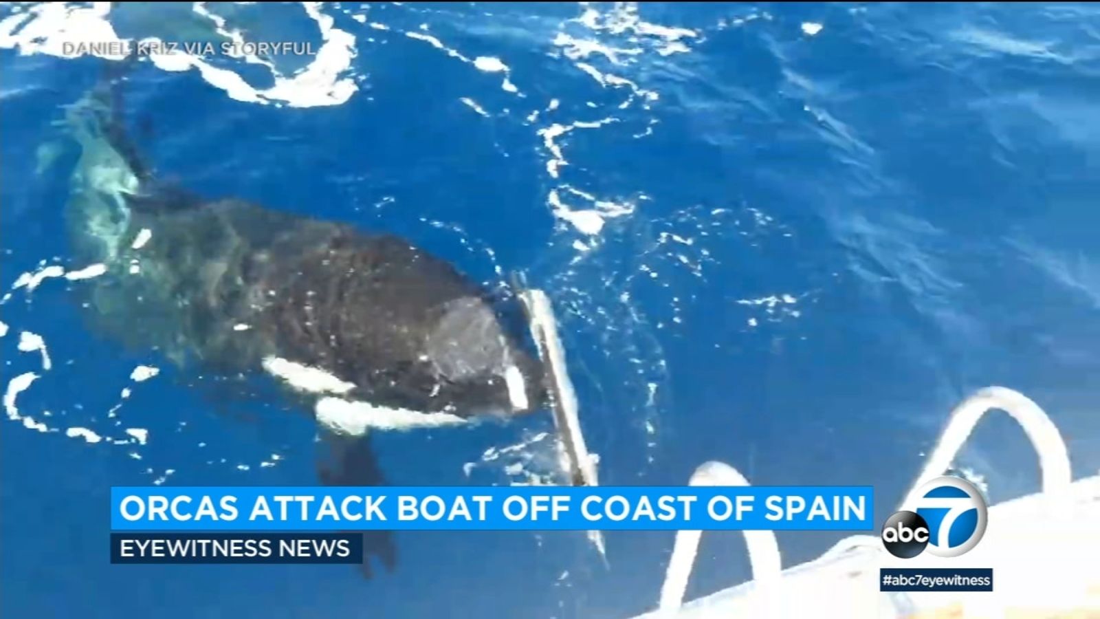 Orcas attack boat off of Spain in growing trend experts say might be 'revenge'