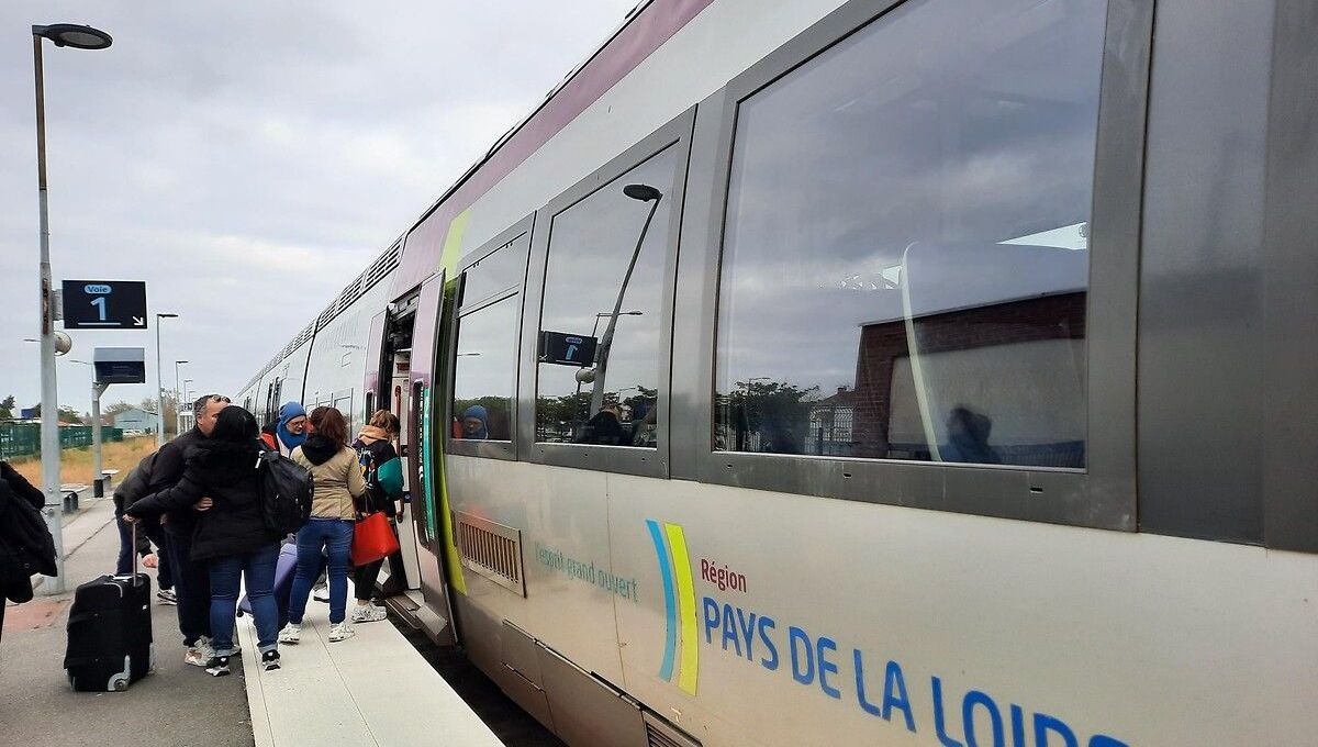 Saint-Sébastien-sur-Loire : un jeune homme meurt, heurté par un train de marchandises