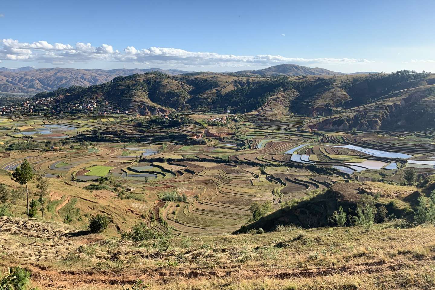 " Tout le monde ne pourra pas s’adapter " : à Madagascar, le changement climatique ébranle les paysans des Hautes Terres