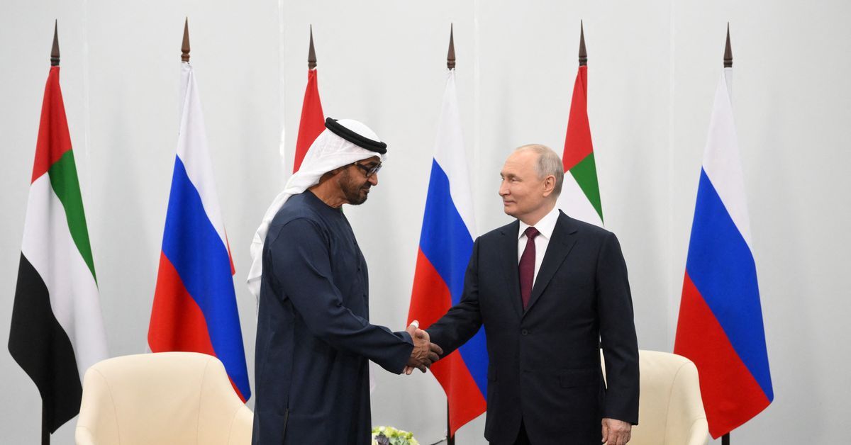 UAE president tells Russia's Putin: we wish to strengthen ties