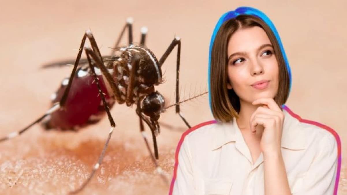 L’astuce la plus efficace pour éliminer les moustiques sans insecticides dangereux