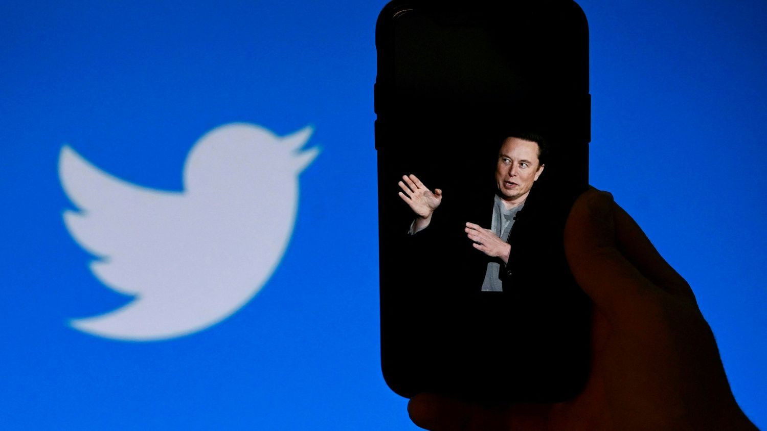 Twitter a perdu environ la moitié de ses revenus publicitaires depuis qu'Elon Musk en est le propriétaire