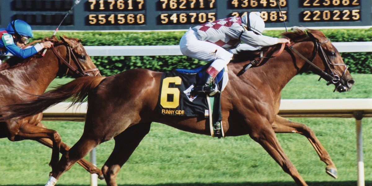 ‘He changed my life’: 129th Kentucky Derby winner Funny Cide dies at 23