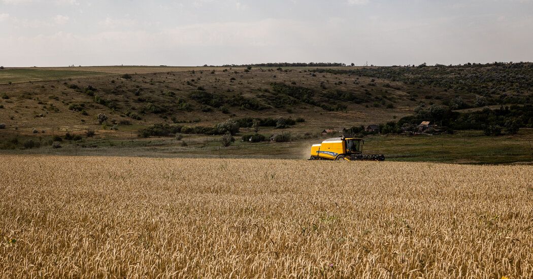 Black Sea Grain Deal Hangs on 11th-Hour Talks, Again