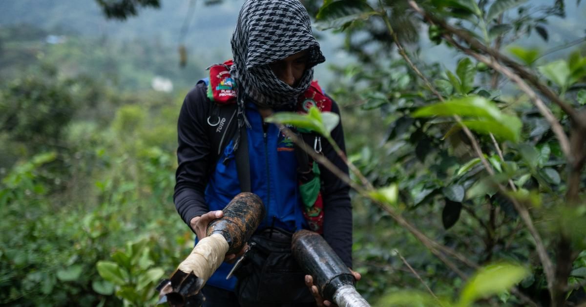 "C'est une guérilla de l'intérieur" : en Colombie, la guerre du Cauca met à mal la paix du président Gustavo Petro