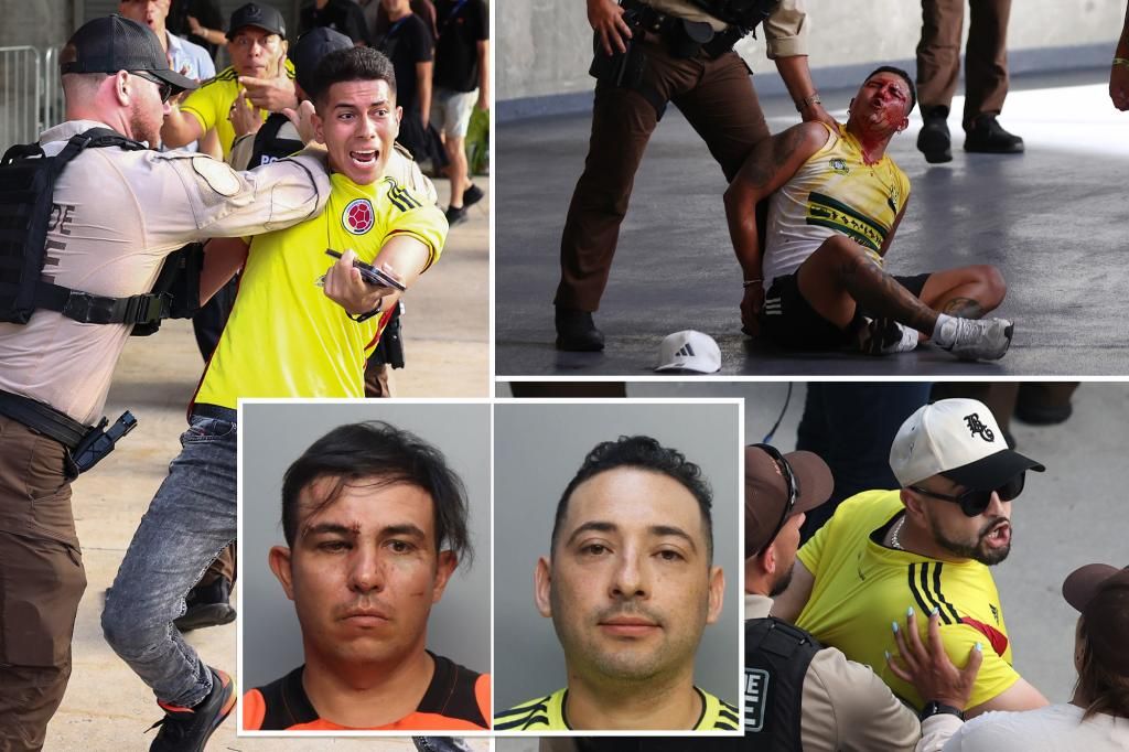 11 illegal migrants arrested during Copa America chaos