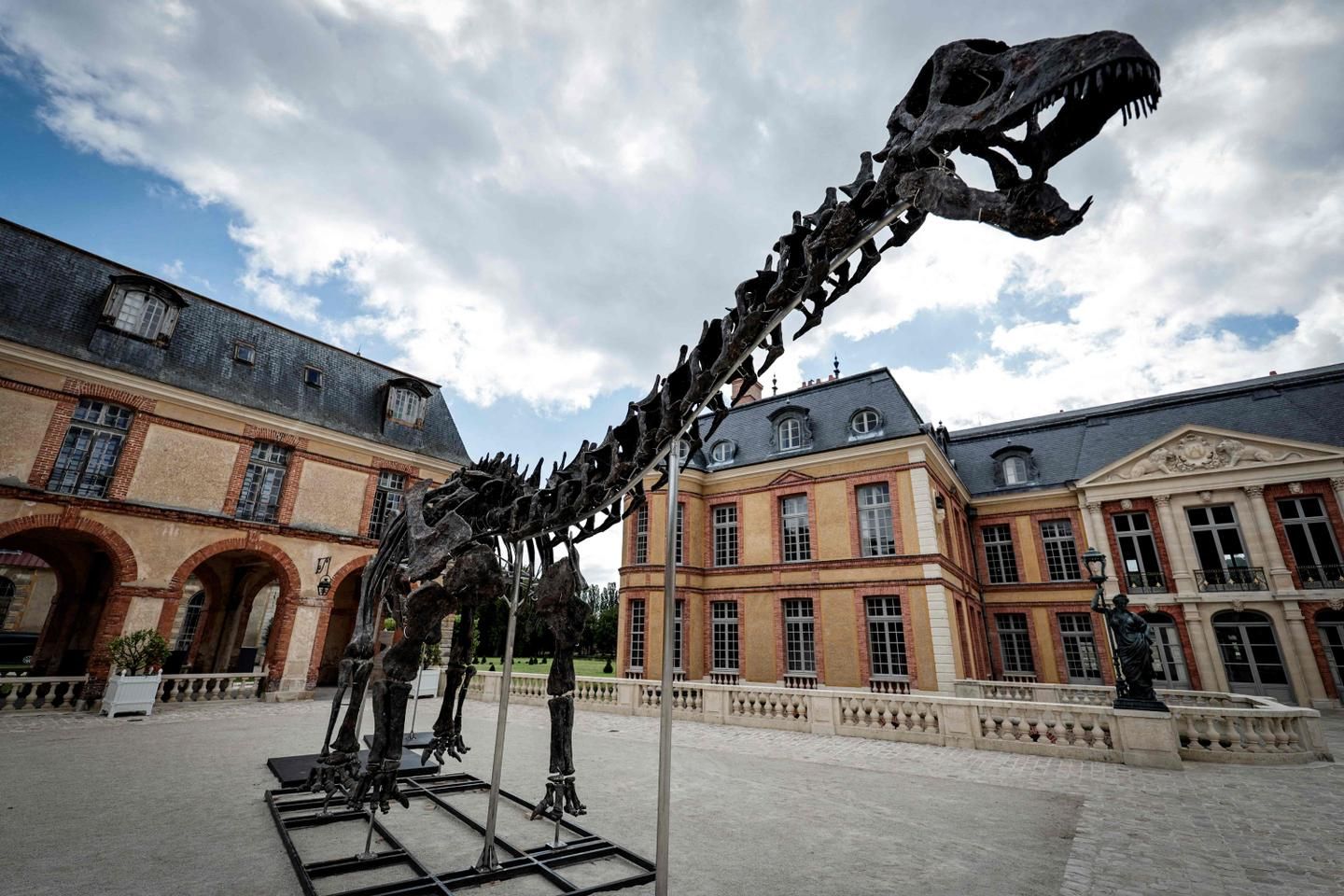 Un squelette géant de dinosaure vendu 6 millions d’euros dans les Yvelines