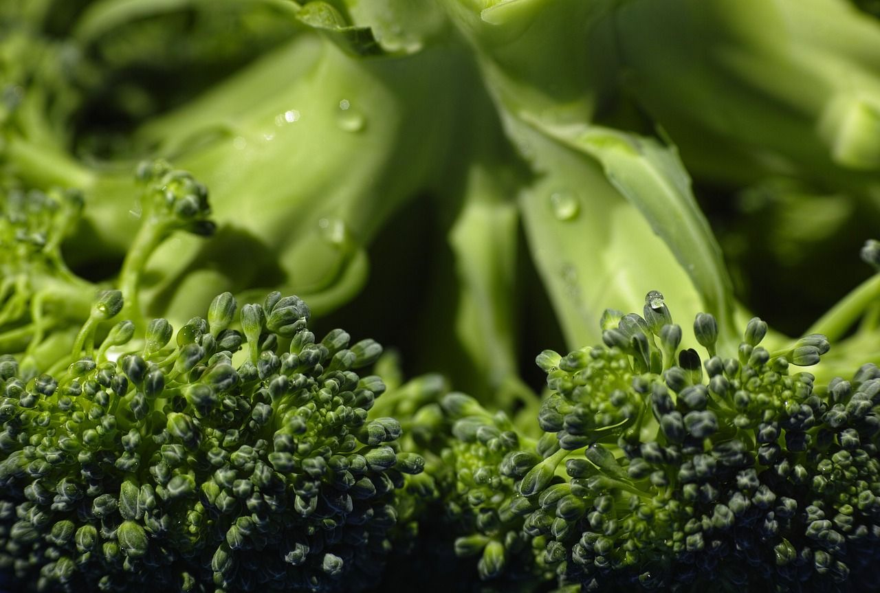 Allergies cutanées : les vertus du chou et d brocoli