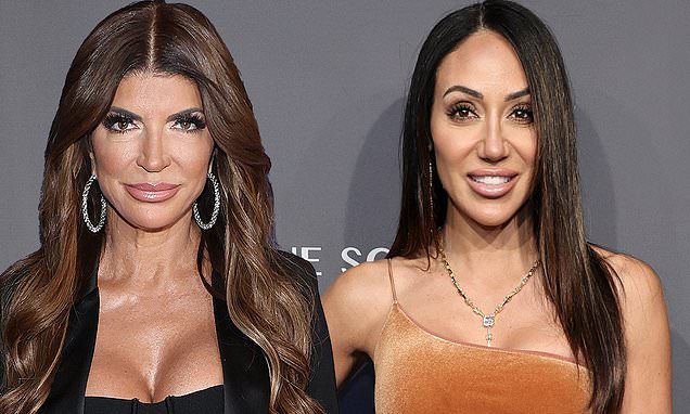 Real Housewives Of New Jersey put 'on pause' following rift between Teresa Giudice and Melissa Gorga