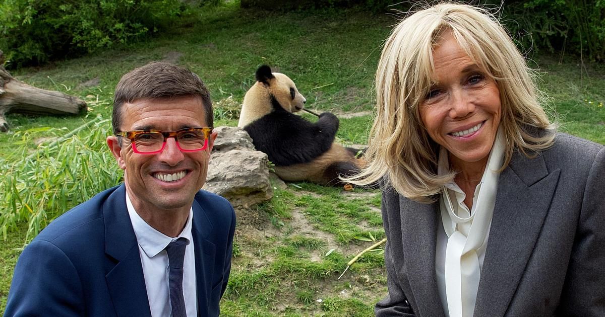 Zoo de Beauval : avec un "pincement au cœur", Brigitte Macron dit au revoir au panda Yuan Meng