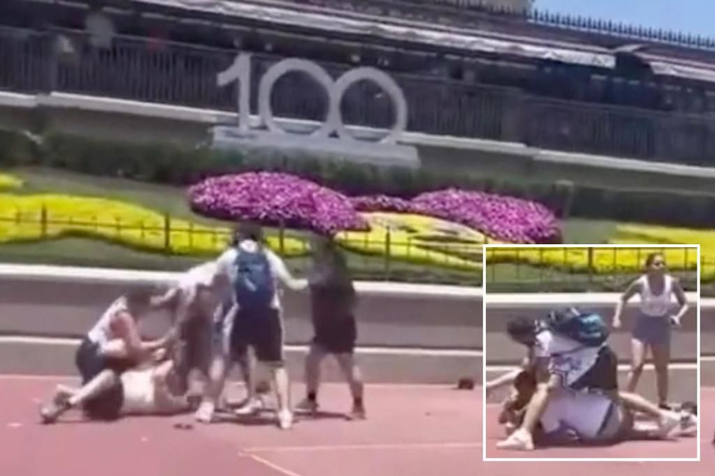 Disney World bans two people after families brawl over photo op: police