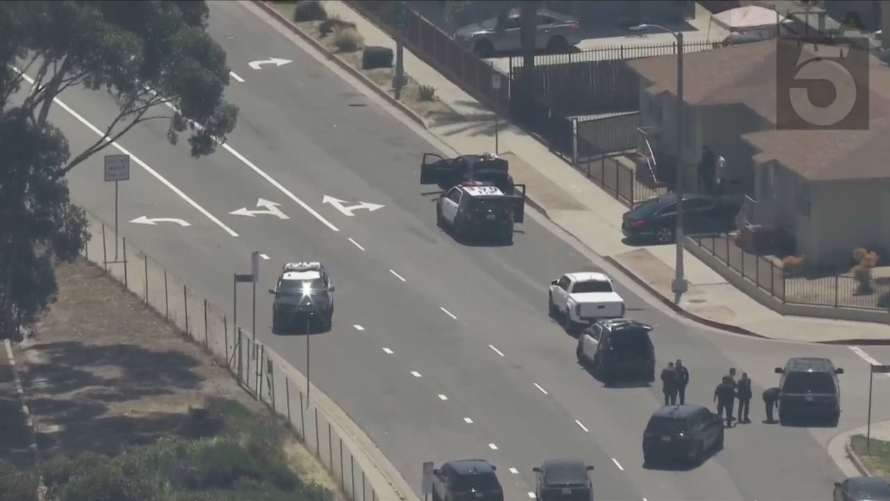 Gunman opens fire on Los Angeles Police officers on 110 Freeway