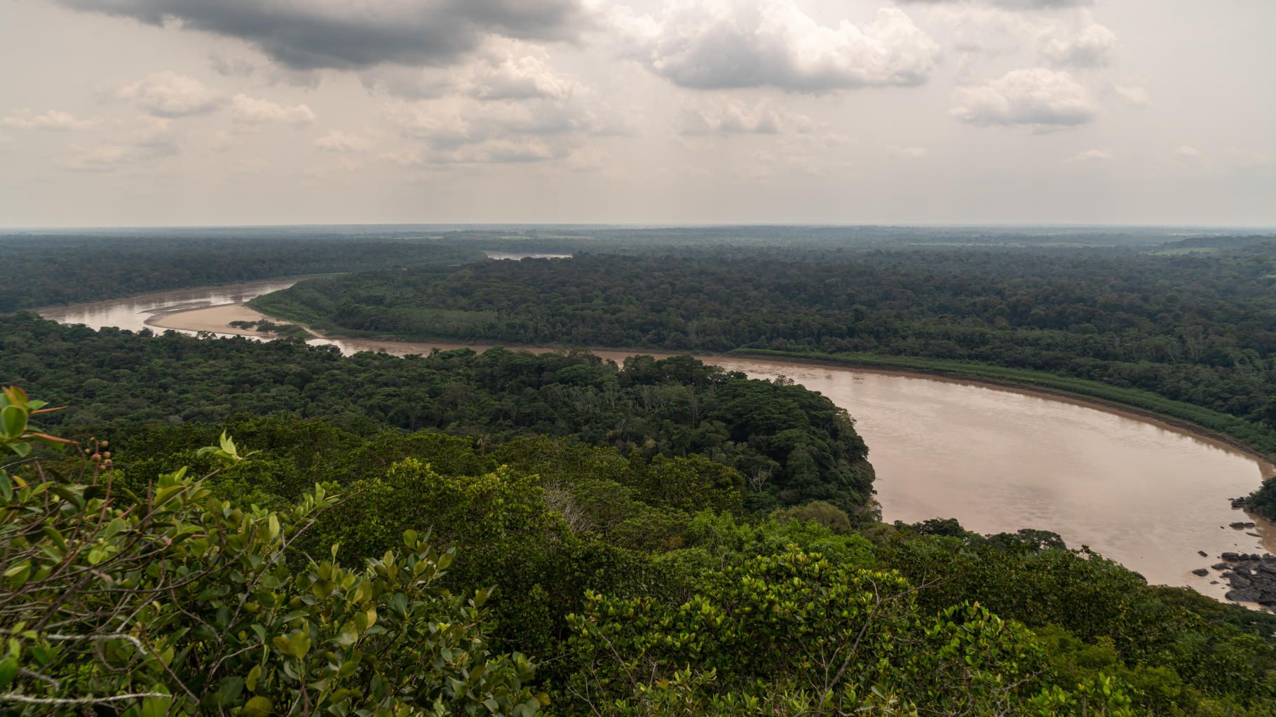 Amazonie : quatre enfants dont un bébé de 11 mois retrouvés vivants après plus de 15 jours d’errance dans la forêt