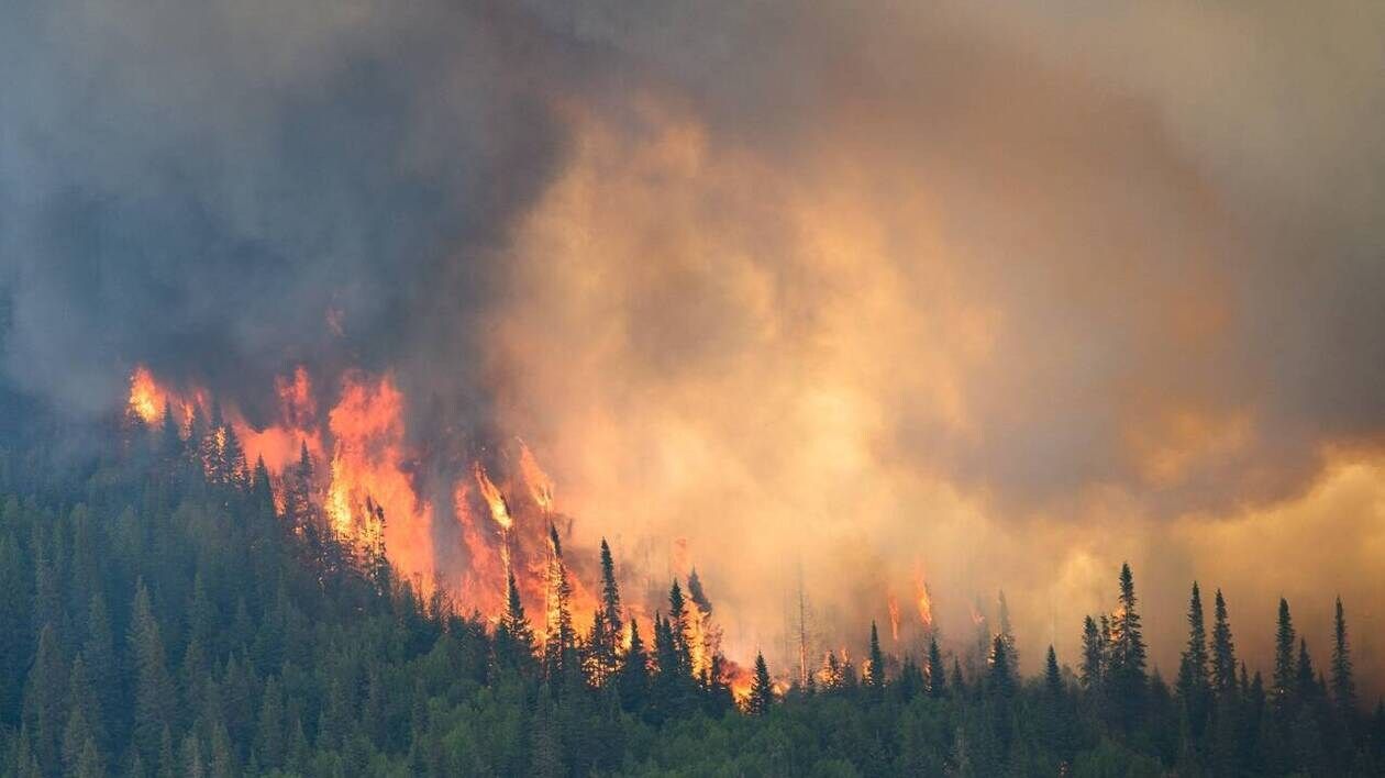 CARTE. Feux de forêt au Canada : une superficie plus grande que la Bretagne déjà brûlée