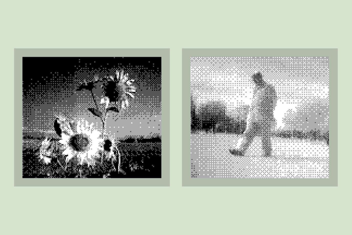 Vingt-cinq ans de la Game Boy Camera : des photos pixélisées qui séduisent toujours artistes et bidouilleurs