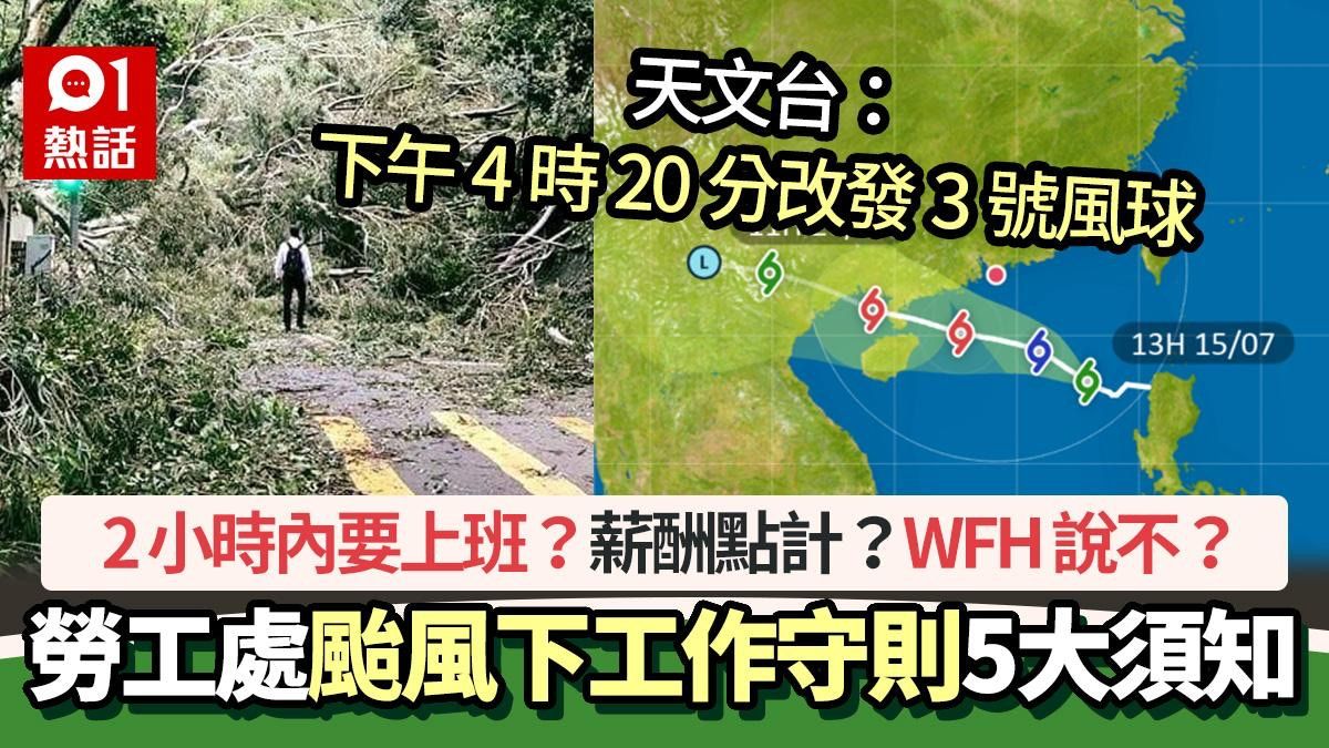 颱風泰利｜改發3號風球 2小時內要返工？WFH說不？勞工處咁講…