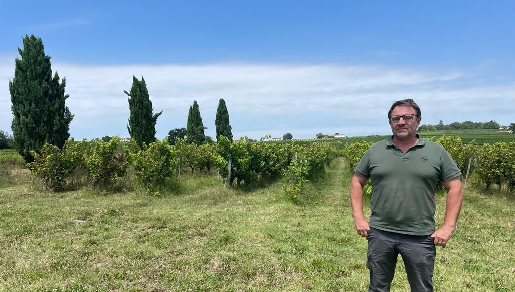 Plan d'arrachage des vignes en Gironde : plus de 900 dossiers déposés avant la clôture de la plateforme