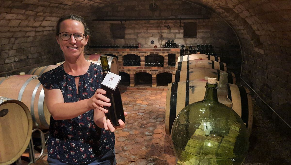 Yonne : des bouteilles de vin sans étiquette collée, ni capsule