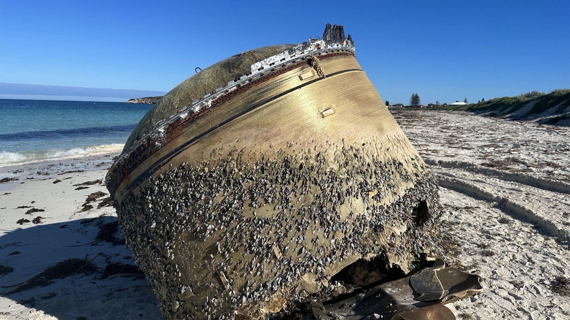 Mystery object washed up on Australian beach may have come from space