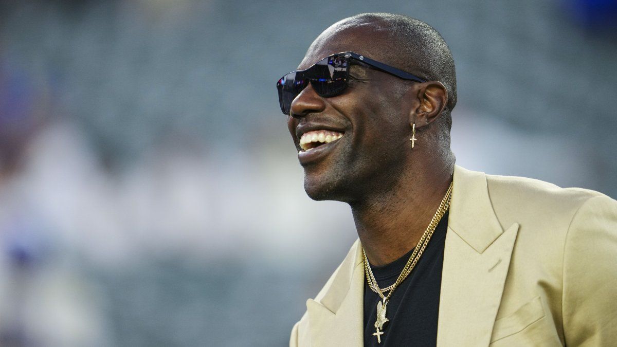 Terrell Owens struck by car after basketball game