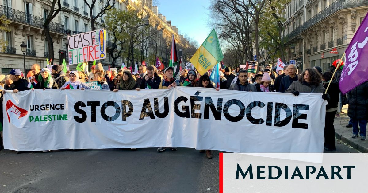 Manifestation propalestinienne à Paris : " Je veux pouvoir dire à mon fils que je n’ai pas été complice d’un génocide "